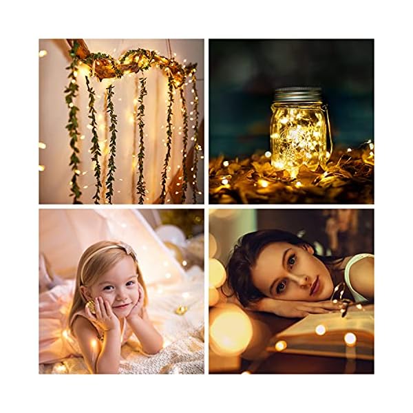 Jmexsuss copper string lights - image 9
