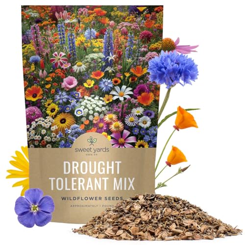 Drought Tolerant Wildflowers Mix – Bulk 1 Pound Bag – Over 120,000 Open Pollinated Non-GMO Seeds – 21 Different Dryland Species