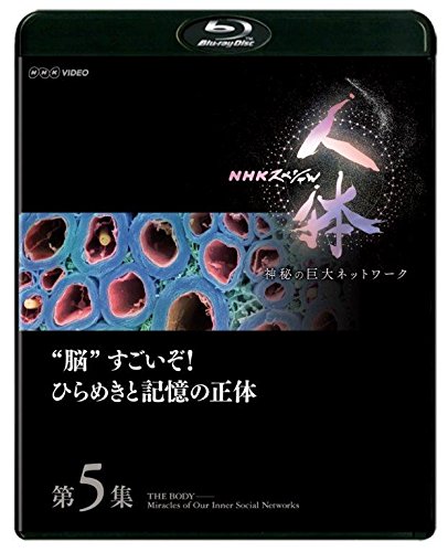 NHKスペシャル 人体 神秘の巨大ネットワーク 第5集 脳すごいぞ! ひらめきと記憶の正体 [Blu-ray]のサムネイル