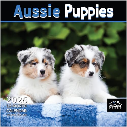 MICASA Aussie Puppies Australian Shepherds 2026 Wall...