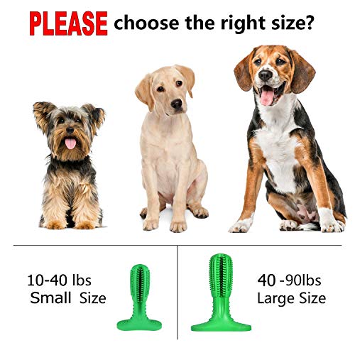 HUISHENG Cane spazzolino da Denti - Bastone