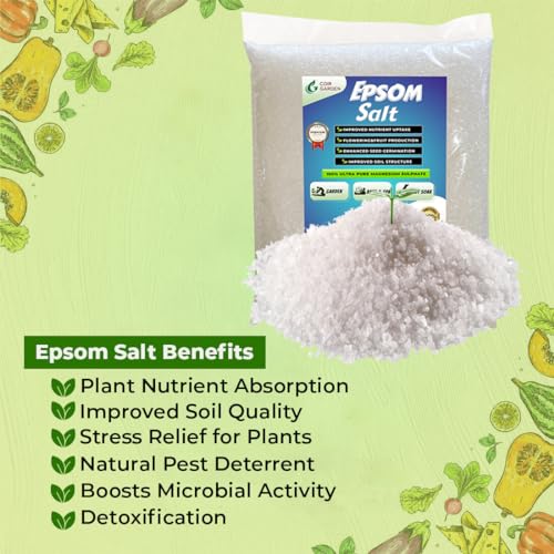 Image of COIR GARDEN - EPSOM SALT 10 KG FOR PLANT GROWTH - ORGANIC FERTILIZER - MAGNESIUM SULPHATE BOOSTER FOR FLOWERING, VEGETABLES AND FRUITS
