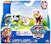 Paw Patrol Skye Action Pack Pup & Rocky Action Figures
