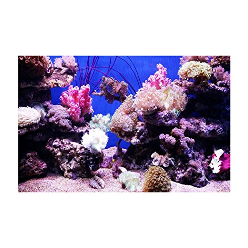 Libaoge Fish Tank Background Submarine Coral Fish Aquarium Backdrop Sticker Wallpaper Decoration PVC