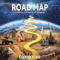Cover of The Road Map: Escaping the Maze of Madness