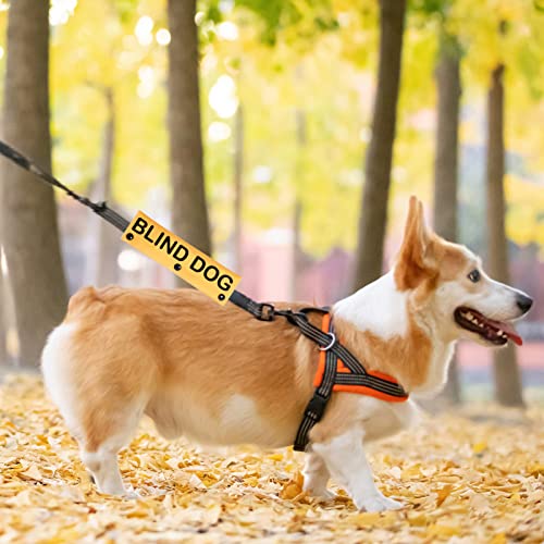 Blindenhund-Leinenhülle und Warnausrüstung für Blinde Hunde - Leinenschlauch Hundezubehör (Blindenhund-S)