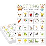 Hoolerry 30 Pcs Scavenger Hunt for Kids Road Trip Game Car Spring Summer Wedding Scavenger Hunt Cards Travel Activities Camping Games Outdoor Indoor Seek Activity for Kids Adults (Spring)