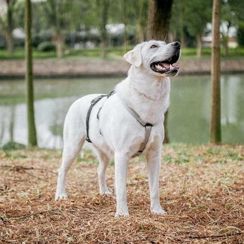 PUPTECK Escape Proof Dog Harness - No Pull Soft Padded Full Body Pet Halter Harness with Lift Handle for Small Medium Large Doggies Walking Hiking Hunting, SnowWhite & Black, M - Thumbnail 6