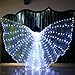 vap26 Belly Dance LED Lights Glowing Isis Angel Wings with Telescopic Sticks Flexible Rods 360 Degrees Performance Costume