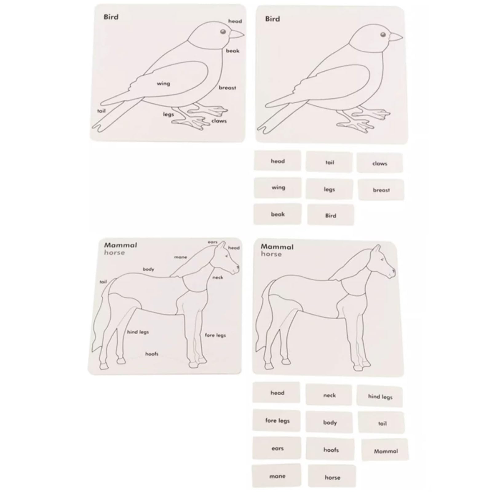 Carte Montessori a 3 Parti con Vassoio di Legno per Ordinamento | Carte Nomenclatura Animali e Piante, Materiale Linguistico Biologia, Giocattolo Educativo Classificazione Scientifica