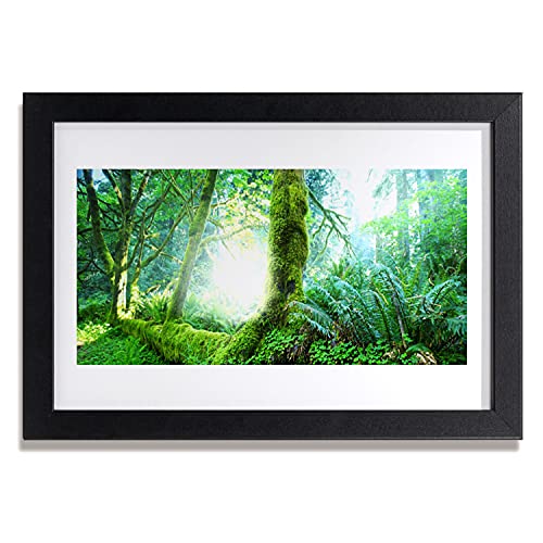 Affiche encadrée salon cuisine chambre cadre photo mural forêt 30x20