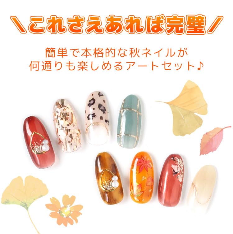 ART ME by TOKYO ネイルアートパウダー12個セット nail-city_a095a