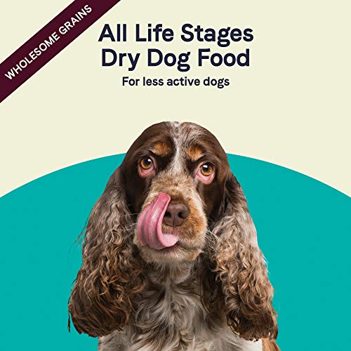 canidae life stages dry dog food