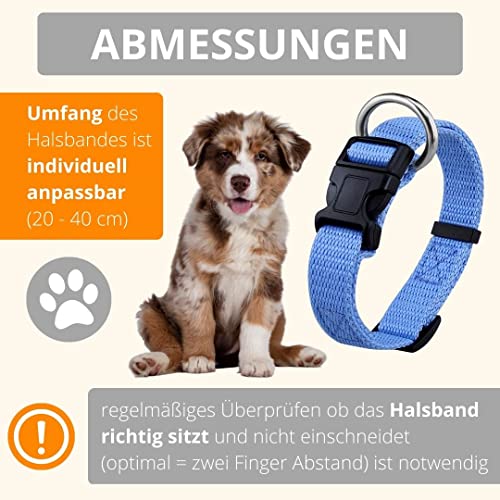 Welpen Set (Puppy Set) Von Amathings Welpenhalsbänder und Leine in Hellblau und Hellrosa Welpenhalsbänder & Leine