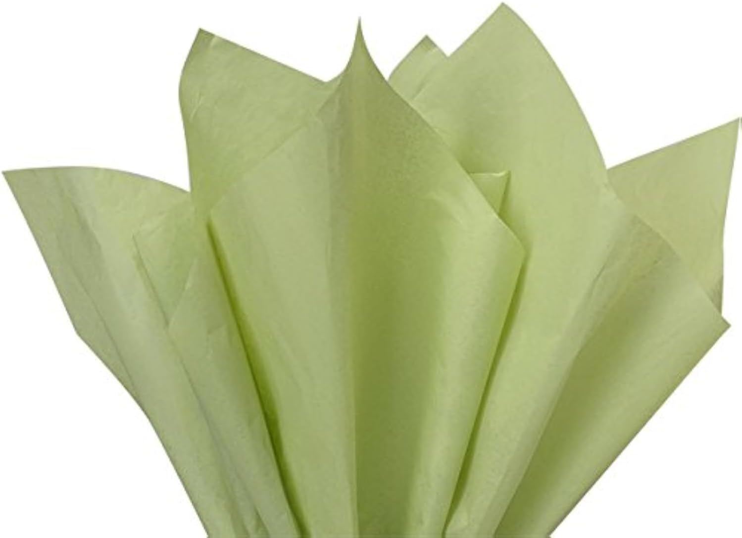 Sage Green Light Olive Bulk Tissue Paper 15 Inch x 20 Inch - 100 Sheets Premium Quality Gift wrap Tissue Paper Made in USA