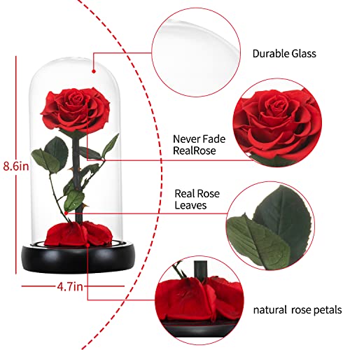 Sw Forever Preserved Rose Mother Day Mom Gifts From Daughter Son,Birthday Gift For Women,Women Gift Red Rose Flower In Glass Gifts For Valentines Day Mothers Day Christmas Anniversary Birthday (Red) #TOP4