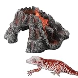 Huoshang Peau de serpent ou de reptile