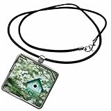 3dRose Danita Delimont - Bird House - Bird House nest Box in Flowering Dogwood Tree in Spring, Illinois - Necklace with Rectangle Pendant (ncl_250848_1)
