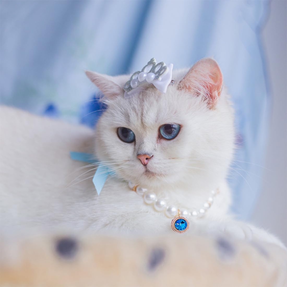 Collana di Perle per Animali Domestici per Cani di Piccola Taglia e Gatti Regolabile con Perle Fantasia per Animali Domestici Gioielli Bling Strass Collare con Papillon Chihuahua
