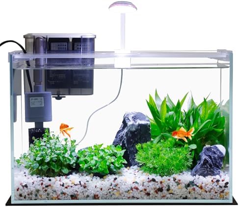 5 Gallon Glass Small Fish Tank with Filter Light and — packaging and what arrives in the box