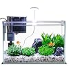 Vimvins 5 Gallon Glass Small Fish Tank with Filter Light and Lid, Betta Aquarium Starter Kits