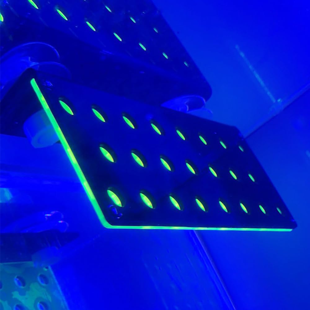 MiOYOOW Supporto per frammento di corallo, 23 fori in acrilico, corallo Frag Rack per acquario, con 2 ventose per acquari