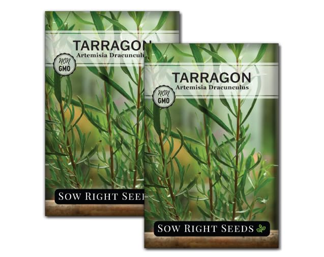 Sow Right Seeds - Tarragon Seeds for Planting - Non-GMO Heirloom French Tarragon - Grow Delicious Herbs in Your Home Garden - Easy to Plant and Cultivate - Perfect for Culinary Use (2)