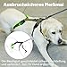 Paworld Sicherheitsgeschirr Hund, Anti Zug Hundegeschirr, Panikgeschirr für Hunde, Ausbruchsicheres Geschirr Hund, Verstellbare, Atmungsaktiv Weste für kleine, mittelgroße und große Hunde (Grün,S)