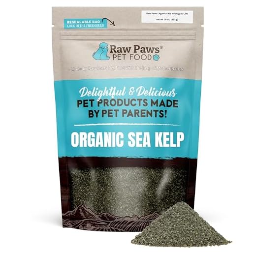 Raw Paws Organic Kelp Powder for Dogs & Cats (16-Ounce) - Supports Thyroid, Digestive & Immune Health - Dried Sea Kelp for Dogs - Seaweed Powder Supplement
