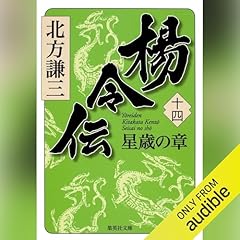 楊令伝　十四　星歳の章 cover art