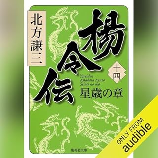 『楊令伝　十四　星歳の章』のカバーアート