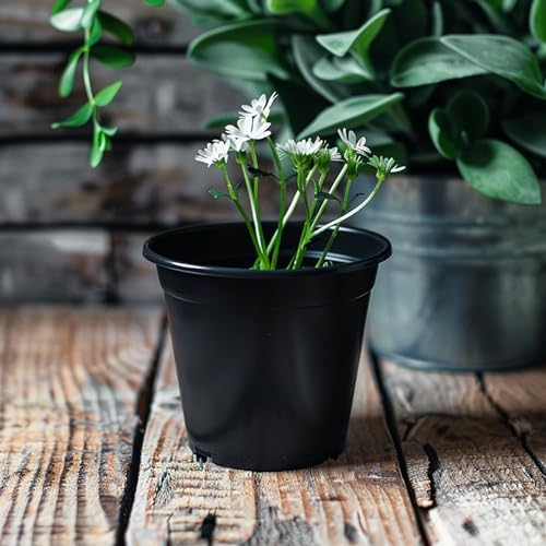 Upmct 25 Packs 4 5 6 Inch Nursery Pots Round Flower Pots Decorative Plastic Pots For Plants With Drainage Hole Seed Starting Pots For Seeding thumb #3