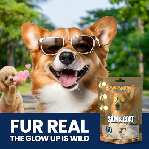 Image of Dog Skin and Coat Soft Chews with Salmon Oil, 60 Count | Fish oil and omega fatty acids support healthy skin, coat shine, moisture balance and normal shedding.