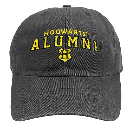 Popfunk Official Harry Potter Hogwarts Alumni Dad Hat miniatura 2