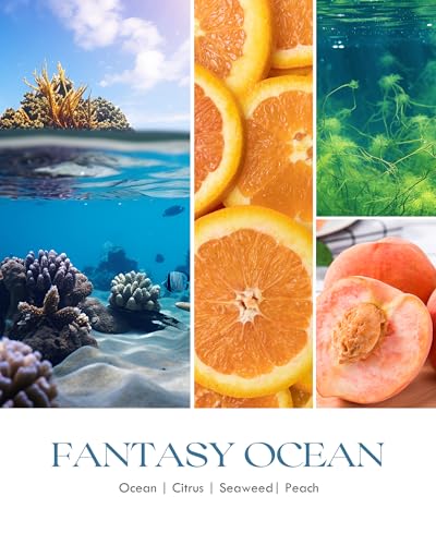 Image of AOOVOO Fantasy Ocean Odor Eliminating Highly Fragranced Candle - Eliminates 95% of Pet, Smoke, Food, and Other Smells Quickly, Non Toxic Air Freshing Soy Candle, 9 oz Up to 50 Hours Burn time