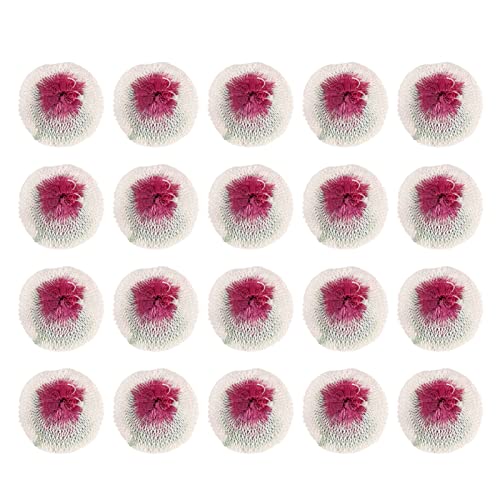 Xolsurg 20Pcs Camping Lanterns Mantles 7CM Double Double Hole Gas Lamp Mantles for Camping Gas Lanterns Kerosene Lamp