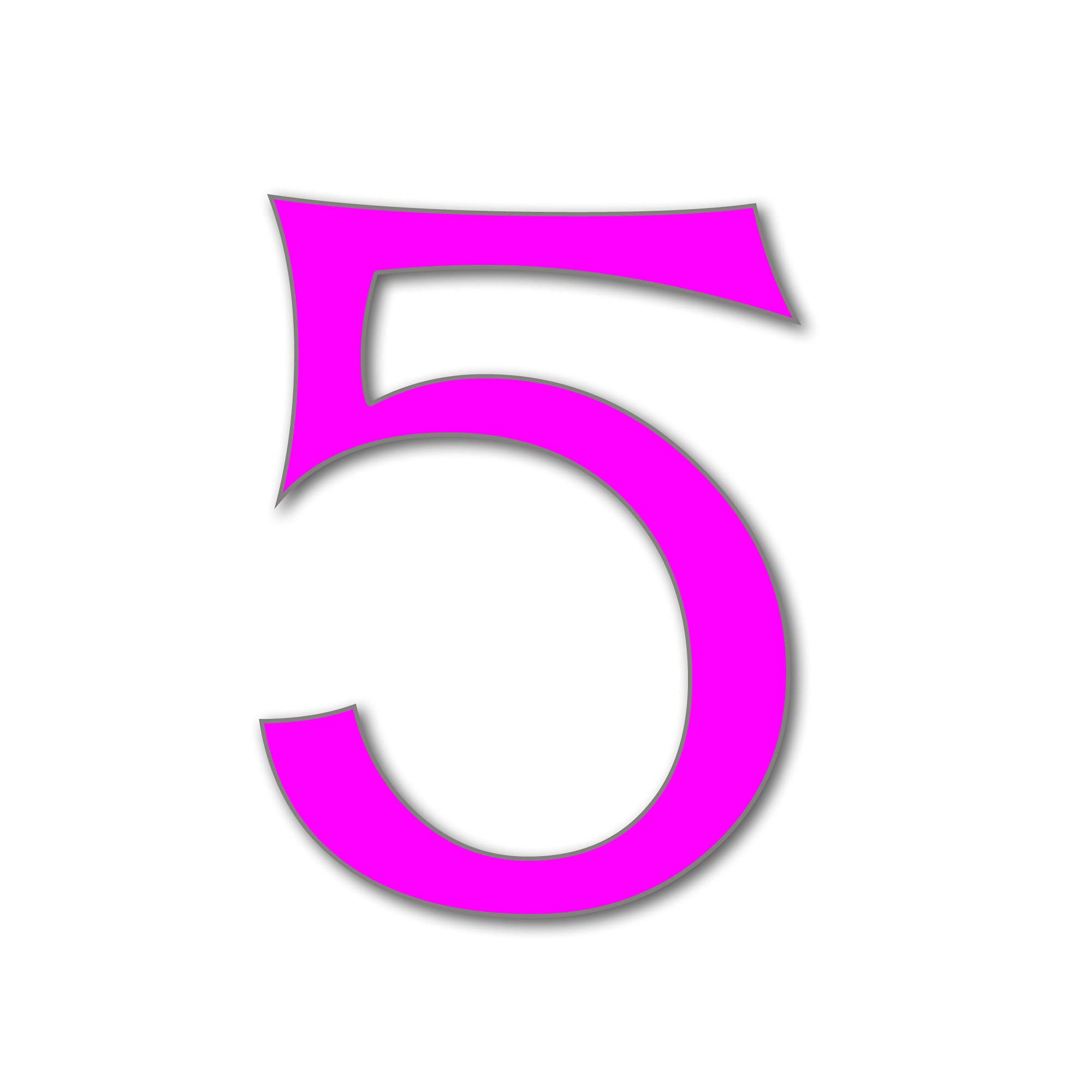 House Number 5 CELTIC Door Numbers in 3 Sizes (15, 20, 25cm / 5.9, 7.8, 9.8in) Modern Floating House Number Acrylic incl. Fixings