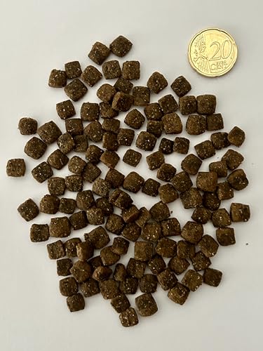 Pferd mit Kartoffel, Hypoallergenes Singleprotein Trockenfutter für Hunde, getreidefrei, für allergische und ernährungssensible Hunde, 11,5 kg