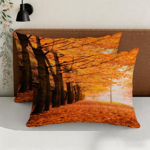 Housse Couette Imprimée 3D forêt d'érables en microfibre douce anti-plis - 5