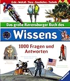 Ravensburger