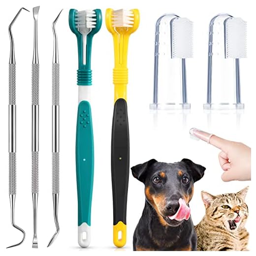 7 Pieces Dog Teeth Cleaning Kit Includes Dental Tooth Scaler and Scraper Stainless Steel Tarter Remover Scraper 3 Head Dog Toothbrush and Silicone Dog Finger Toothbrush Dog Plaque Remover Tools