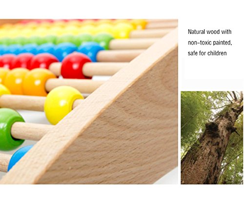 Wondertoys Wooden Abacus Educational Counting Toy 100 Beads Math Tool Toddler Gifts for 1 2 3 Year Old Boys and Girls