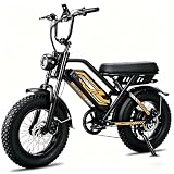 Electric Bike for Teens, 1000W Peak Motor 16' Fat Tire Ebike 20MPH Up to 60 Miles Mountain Bike 48V 15.6Ah Removable Battery Dual Suspension Cruise Control, All-Terrain for Mountain, Beach, Off-Road.