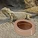 Baoblaze Reptile Water Bowl Turtle Feeding Bowl Escapeproof Reptile Feeder Easy to Clean Feeding Accessories for Small Pets Amphibians, Brown