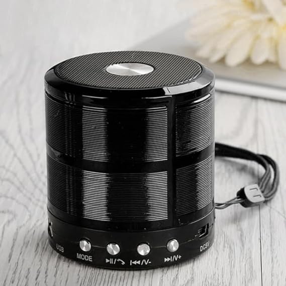 Wireless Bluetooth Mini Speaker with Loud Sound, 40mm Driver, Bluetooth V5.1 Strong Connectivity, Pocket Friendly Design, Also Support SD Card & Call Function for Android & iOS (B0D3HXZG7Z) Amazon Price History, Amazon Price Tracker