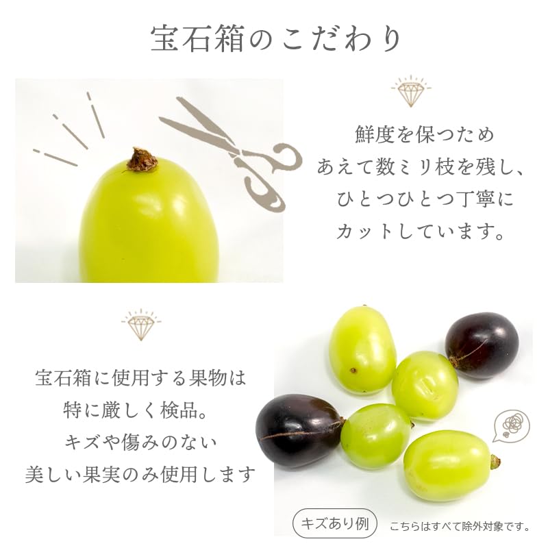 Amazon.co.jp: TOBIFRU フルーツ宝石箱 シャインマスカット ぶどう