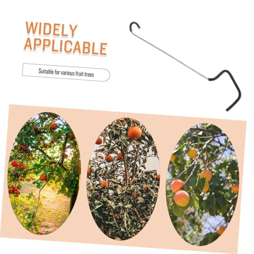 Separadores de ramas para árboles frutales 20 piezas miniatura 6