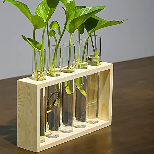 Kingbuy Wall Hanging Glass Planter Propagation Station Desktop Hydroponics Terrarium For Home Office Decoration - 5 Test Tube Vase With Retro Frame And 3 Bulb Vase With Wooden Stand #TOP3