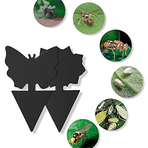 観葉植物 防虫の人気商品 通販 価格比較 価格 Com