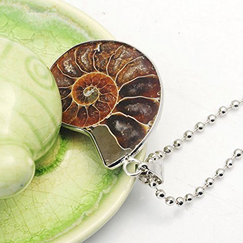 Joya Gift Charm Handmade Natural Conch Fossil Ammonite Silver Wrapped Pendant Shell Necklace For Women(1 Pcs) #TOP7